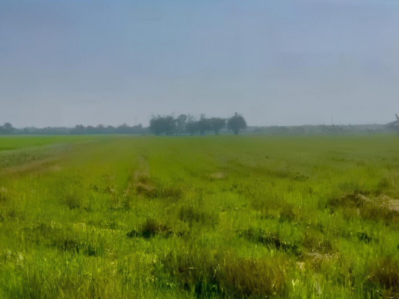 ขายที่ดิน 26-2-81 ไร่ ใกล้หมู่บ้านอมรทรัพย์ และมหาวิทยาลัยเทคโนโลยีมหานคร