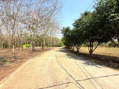 ขาย ที่ดิน ME403 เหมาะบ้านสวน ทำเกษตร เกษียณ ติดคลองน้ำ น้ำไฟครบ เกษตรสุวรรณ บ่อทอง ชลบุรี ขนาด 10 ไร่ มีเพื่อนบ้าน แถมยูคา คนเช่าทำไร่อ้อย