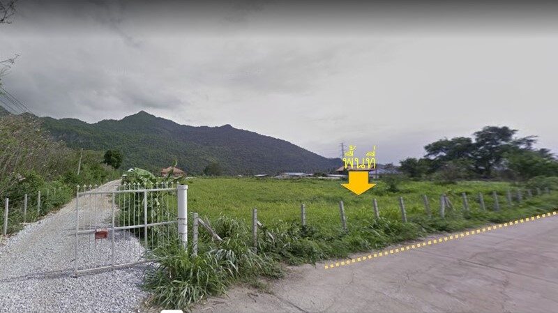 ที่ดิน 4 ไร่ กลางดง ปากช่อง
