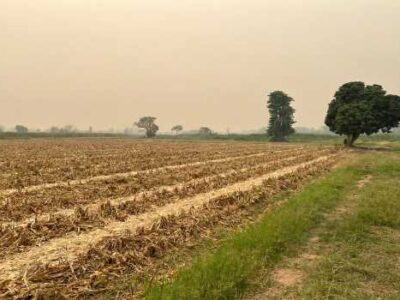 ขายที่ดิน 22 ไร่ 1 งาน 24.2 ตร.ว. ติดแม่น้ำกก ใกล้สนามบินแม่ฟ้าหลวง เชียงราย