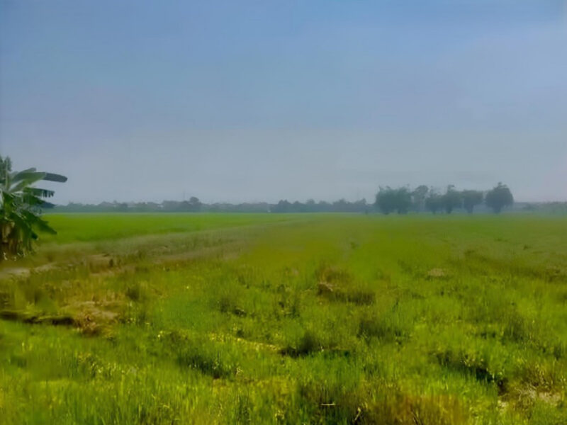 ขายที่ดิน 26-2-81 ไร่ ใกล้หมู่บ้านอมรทรัพย์ และมหาวิทยาลัยเทคโนโลยีมหานคร