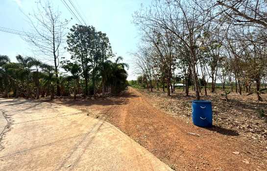 ขาย ที่ดิน ME403 เหมาะบ้านสวน ทำเกษตร เกษียณ ติดคลองน้ำ น้ำไฟครบ เกษตรสุวรรณ บ่อทอง ชลบุรี ขนาด 10 ไร่ มีเพื่อนบ้าน แถมยูคา คนเช่าทำไร่อ้อย