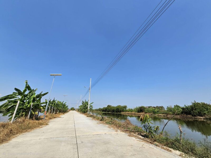 ขายด่วนที่ดิน แปลงใหญ่ บางเสาธง สมุทรปราการ ติดถนนสาธารณะ แบ่งขายได้