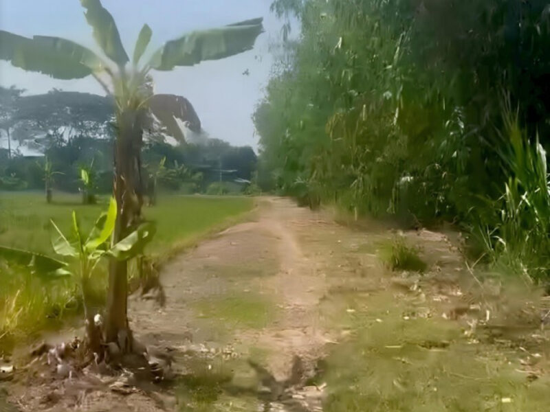 ขายที่ดิน 26-2-81 ไร่ ใกล้หมู่บ้านอมรทรัพย์ และมหาวิทยาลัยเทคโนโลยีมหานคร