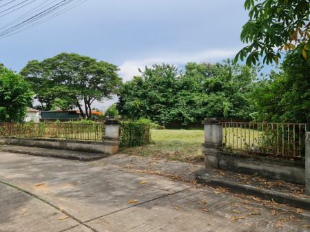 ขายที่ดิน 127ต.รว หมู่บ้าน เลควิว พาร์ค 2 ถนนวงแหวนรอบนอก ต.สันผีเสื้อ อ.เมือง ซอย26 เหมาะสร้างบ้านพักอาศัย