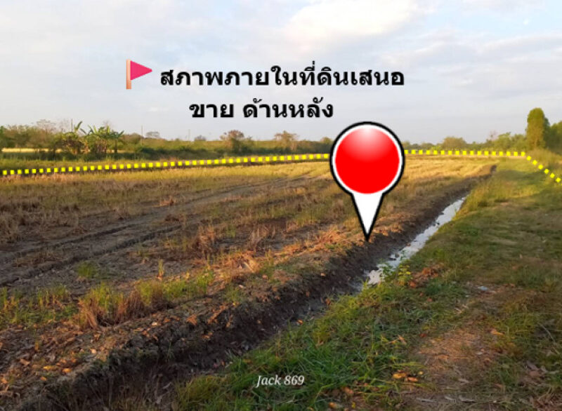 ขาย ที่ดิน ทำเลทอง ติด ถนน อบจ.นม.01312 บ.วัดเลียบ-บ.พุดซา เขตอำเภอเมือง 12 ไร่ 54 ตรว ถนนสายหลักในชุมชน ฟรีค่าโอน