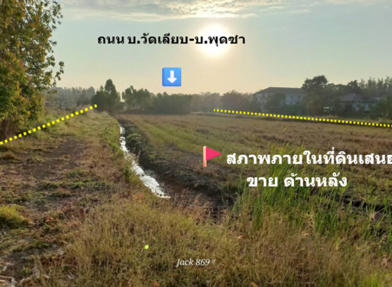 ขาย ที่ดิน ทำเลทอง ติด ถนน อบจ.นม.01312 บ.วัดเลียบ-บ.พุดซา เขตอำเภอเมือง 12 ไร่ 54 ตรว ถนนสายหลักในชุมชน ฟรีค่าโอน