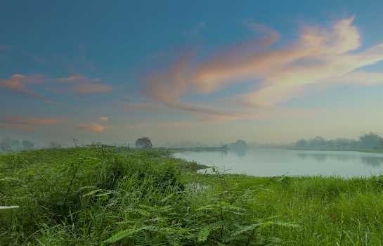 ขายที่ดิน 22 ไร่ 1 งาน 24.2 ตร.ว. ติดแม่น้ำกก ใกล้สนามบินแม่ฟ้าหลวง เชียงราย