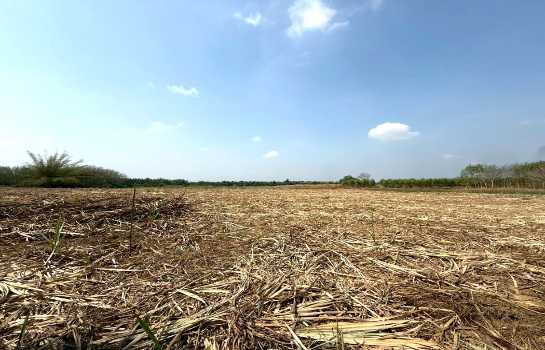 ขาย ที่ดิน ME403 เหมาะบ้านสวน ทำเกษตร เกษียณ ติดคลองน้ำ น้ำไฟครบ เกษตรสุวรรณ บ่อทอง ชลบุรี ขนาด 10 ไร่ มีเพื่อนบ้าน แถมยูคา คนเช่าทำไร่อ้อย