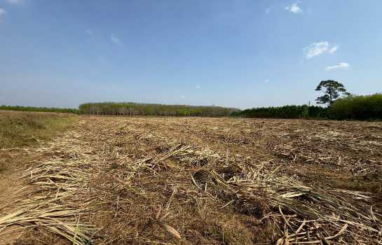 ขาย ที่ดิน ME403 เหมาะบ้านสวน ทำเกษตร เกษียณ ติดคลองน้ำ น้ำไฟครบ เกษตรสุวรรณ บ่อทอง ชลบุรี ขนาด 10 ไร่ มีเพื่อนบ้าน แถมยูคา คนเช่าทำไร่อ้อย