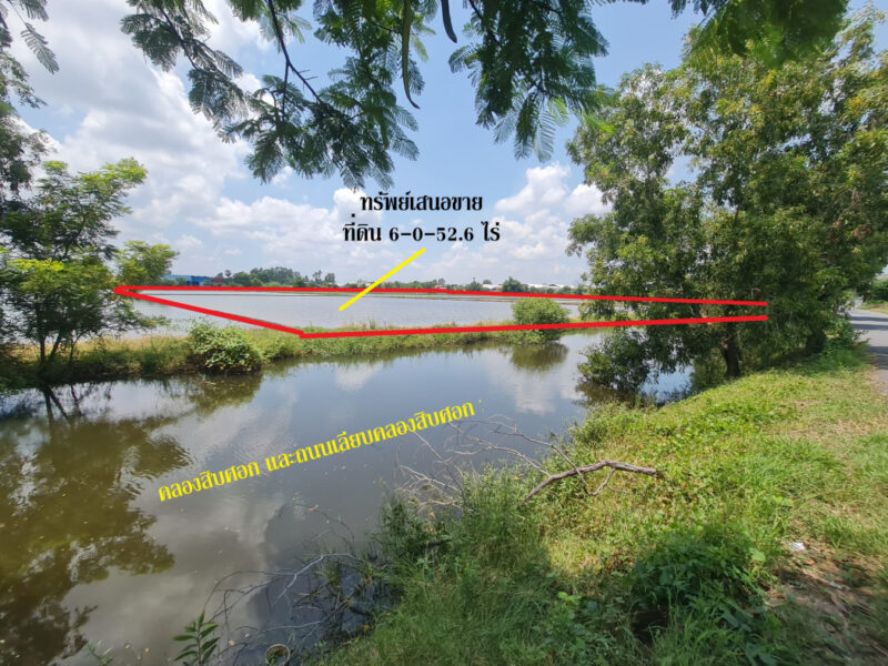 ขาย ที่ดิน ติดถนนสามโคก-เสนา ทล.3111 อ.สามโคก ปทุมธานี ทำเลดีพื้นที่ลงทุน เนื้อที่ 37 ไร่ 12.2 ตรว ลดลงราคา 22 ล้าน เจ้าของอยากขายมากๆ