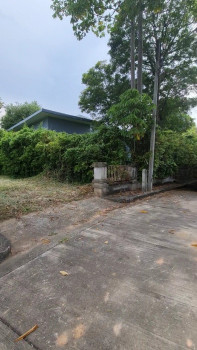 ขายที่ดิน 127ต.รว หมู่บ้าน เลควิว พาร์ค 2 ถนนวงแหวนรอบนอก ต.สันผีเสื้อ อ.เมือง ซอย26 เหมาะสร้างบ้านพักอาศัย