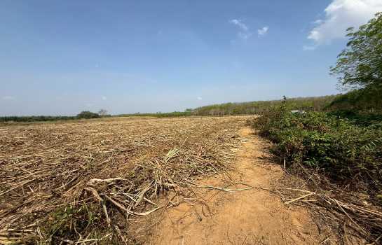 ขาย ที่ดิน ME403 เหมาะบ้านสวน ทำเกษตร เกษียณ ติดคลองน้ำ น้ำไฟครบ เกษตรสุวรรณ บ่อทอง ชลบุรี ขนาด 10 ไร่ มีเพื่อนบ้าน แถมยูคา คนเช่าทำไร่อ้อย