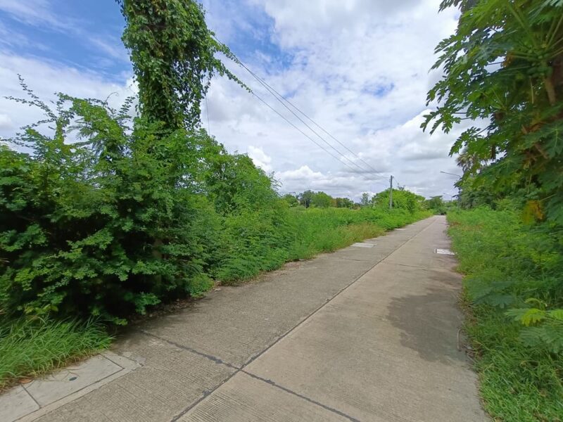 ที่ดินจังหวัดสุพรรณบุรี หน้าแปลงติดถนน ราคาคุยกันก่อนได้ค่ะ