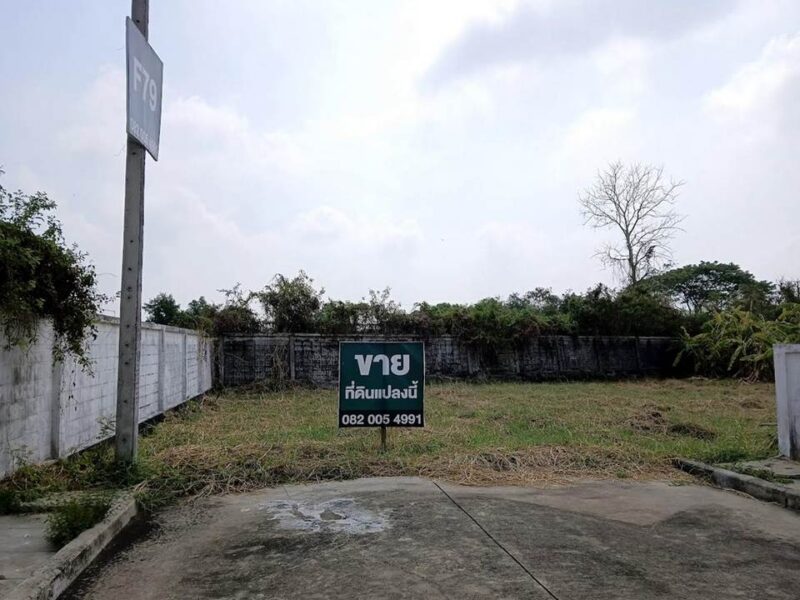 ขายที่ดินในหมู่บ้านเนเบอร์โฮม สุขาภิบาล5 ซอย82