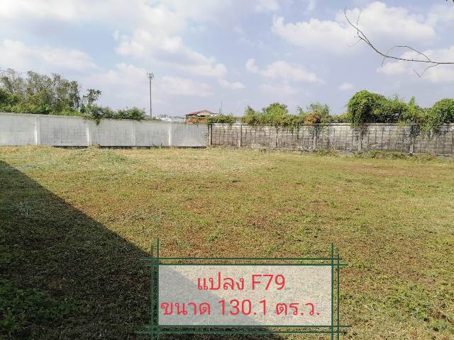 ขายที่ดินในหมู่บ้านเนเบอร์โฮม สุขาภิบาล5 ซอย82