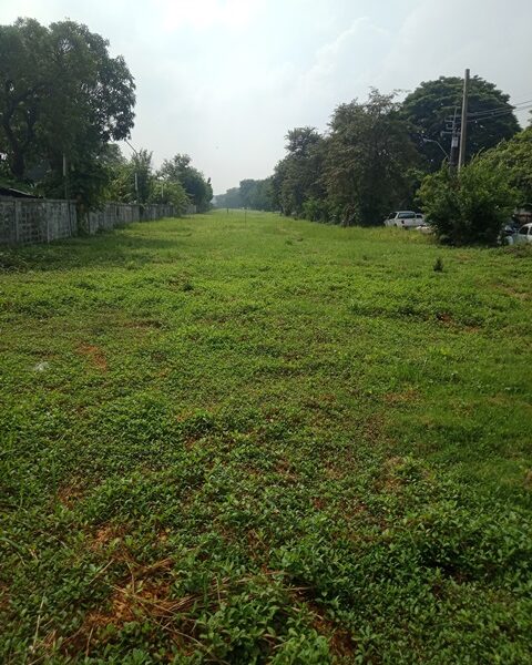 ขายที่ดินใกล้ถนนรามคำแหงซอย 150 เพียง 70 เมตร