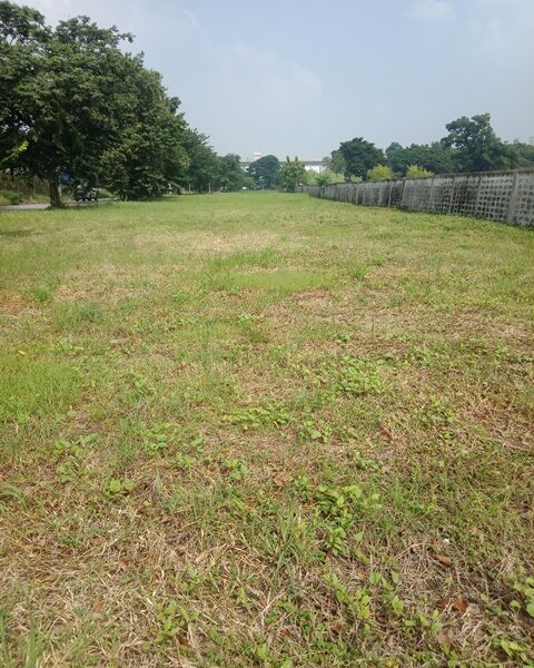 ขายที่ดินใกล้ถนนรามคำแหง เพียง 70 เมตร
