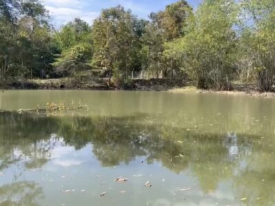 🌄 ที่ดินเพื่อการลงทุน ทำเลท่องเที่ยว ทองผาภูมิ