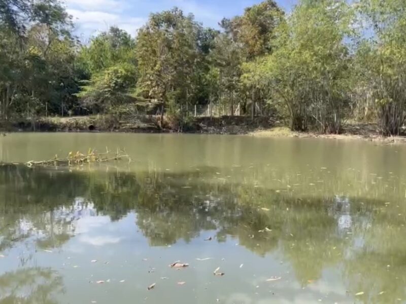 🌄 ที่ดินเพื่อการลงทุน ทำเลท่องเที่ยว ทองผาภูมิ