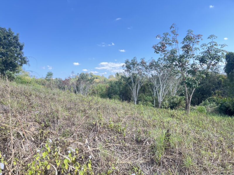 🌄 ที่ดินเพื่อการลงทุน ทำเลท่องเที่ยว ทองผาภูมิ