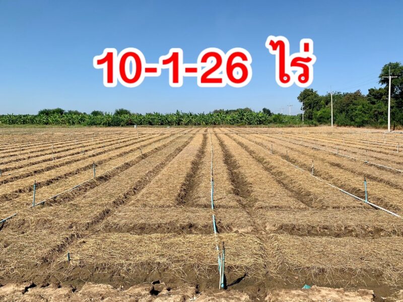 ที่ดินสวยผืนใหญ่2แปลง วังศาลา ท่าม่วง ทำเลทอง เนื้อที่รวม26ไร่ โฉนดครุฑแดงพร้อมโอน เข้าออกได้หลายทาง ติดถนนสาธารณะ ไฟฟ้าประปาครบ ใกล้ทางด่วนM81 เดินทางสะดวก