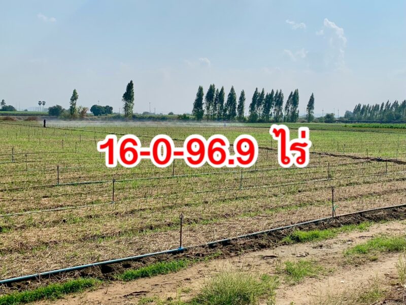 ที่ดินสวยผืนใหญ่2แปลง วังศาลา ท่าม่วง ทำเลทอง เนื้อที่รวม26ไร่ โฉนดครุฑแดงพร้อมโอน เข้าออกได้หลายทาง ติดถนนสาธารณะ ไฟฟ้าประปาครบ ใกล้ทางด่วนM81 เดินทางสะดวก