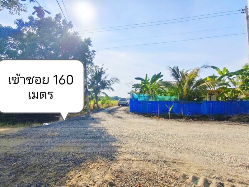 ขายที่ดินคลอง 5 คลองหลวง ทำเลชุมชน น้ำไฟครบ พร้อมใช้ ราคาพิเศษ ฟรีโอน