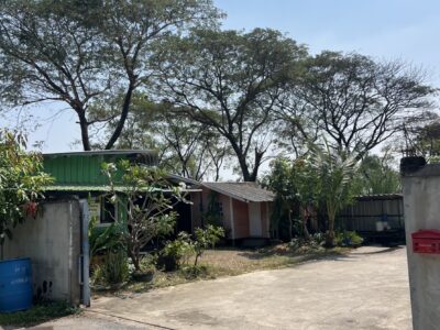 ขายที่ดินพร้อมโกดัง คลอง 7 ทำเลธุรกิจ ใกล้ ลำลูกกา จ.ปทุมธานี พร้อมใช้งาน ราคา 6.9 ล้าน