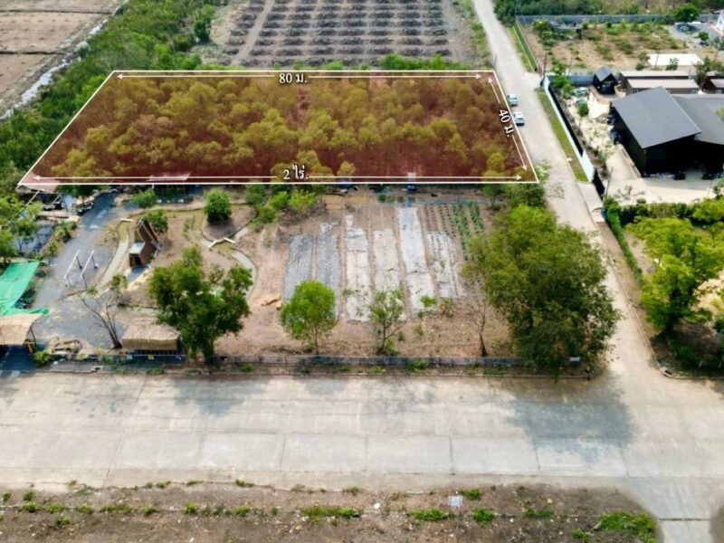 ขายด่วนที่ดิน 2 ไร่ ถมแล้ว คลอง 2 คลองหลวง จ.ปทุมธานี | ใกล้ตลาดไท – วัดพระธรรมกาย