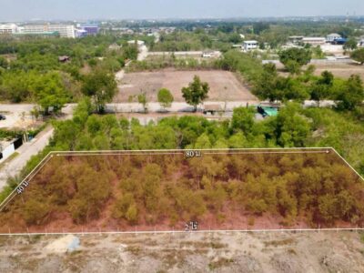 ขายด่วนที่ดิน 2 ไร่ ถมแล้ว คลอง 2 คลองหลวง จ.ปทุมธานี | ใกล้ตลาดไท – วัดพระธรรมกาย