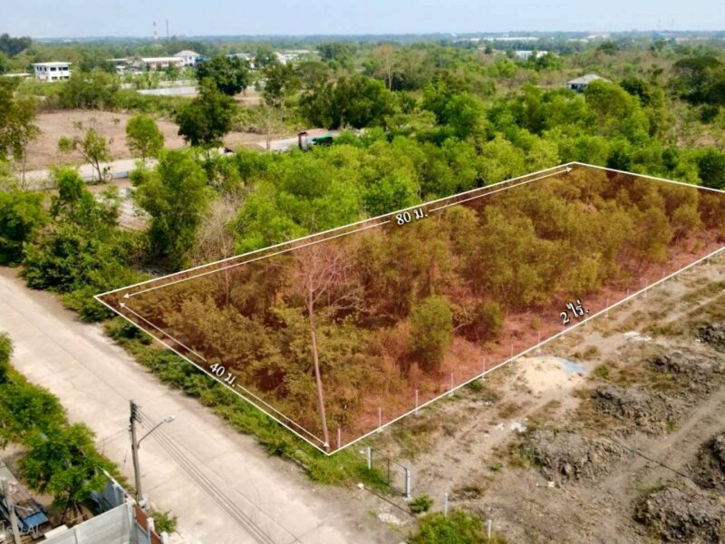 ขายด่วนที่ดิน 2 ไร่ ถมแล้ว คลอง 2 คลองหลวง จ.ปทุมธานี | ใกล้ตลาดไท – วัดพระธรรมกาย