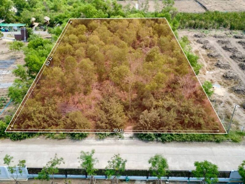 ขายด่วนที่ดิน 2 ไร่ ถมแล้ว คลอง 2 คลองหลวง จ.ปทุมธานี | ใกล้ตลาดไท – วัดพระธรรมกาย