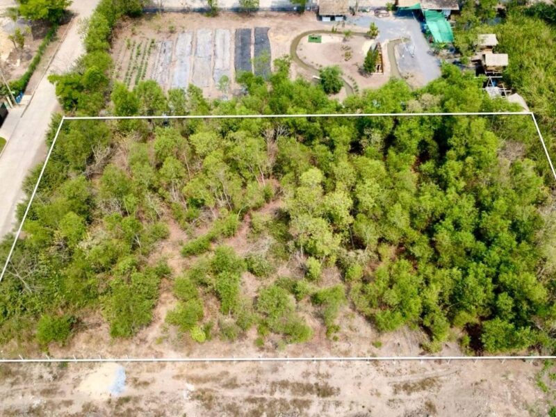 ขายด่วนที่ดิน 2 ไร่ ถมแล้ว คลอง 2 คลองหลวง จ.ปทุมธานี | ใกล้ตลาดไท – วัดพระธรรมกาย
