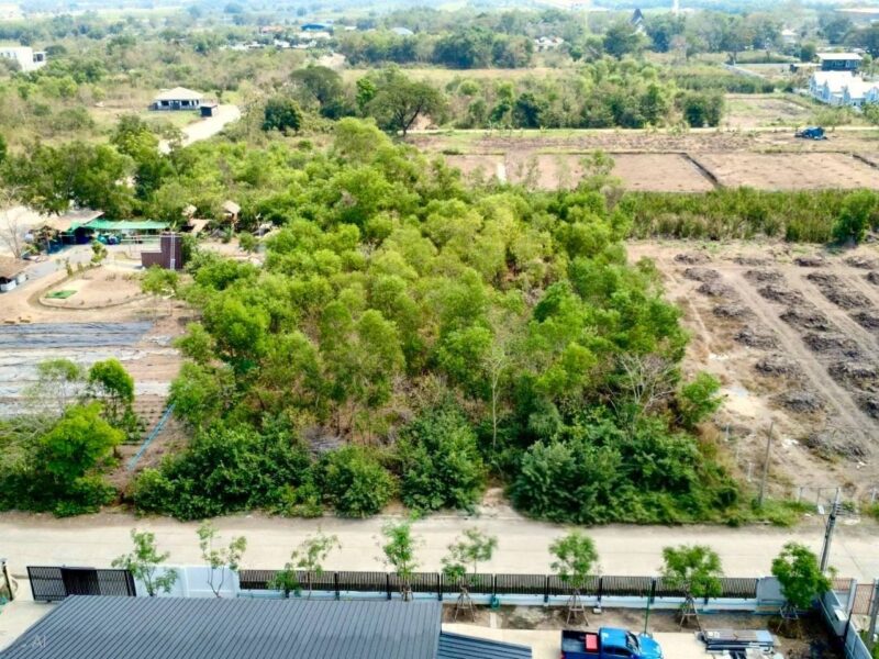 ขายด่วนที่ดิน 2 ไร่ ถมแล้ว คลอง 2 คลองหลวง จ.ปทุมธานี | ใกล้ตลาดไท – วัดพระธรรมกาย