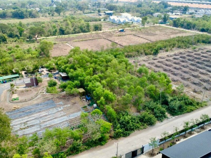 ขายด่วนที่ดิน 2 ไร่ ถมแล้ว คลอง 2 คลองหลวง จ.ปทุมธานี | ใกล้ตลาดไท – วัดพระธรรมกาย