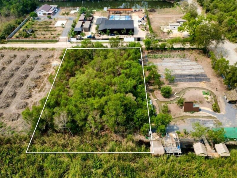 ขายด่วนที่ดิน 2 ไร่ ถมแล้ว คลอง 2 คลองหลวง จ.ปทุมธานี | ใกล้ตลาดไท – วัดพระธรรมกาย