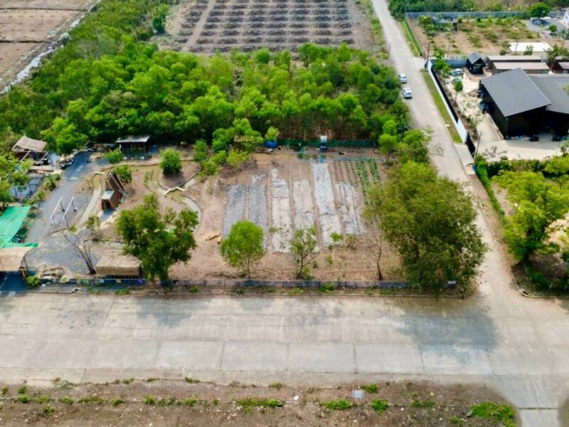 ขายด่วนที่ดิน 2 ไร่ ถมแล้ว คลอง 2 คลองหลวง จ.ปทุมธานี | ใกล้ตลาดไท – วัดพระธรรมกาย
