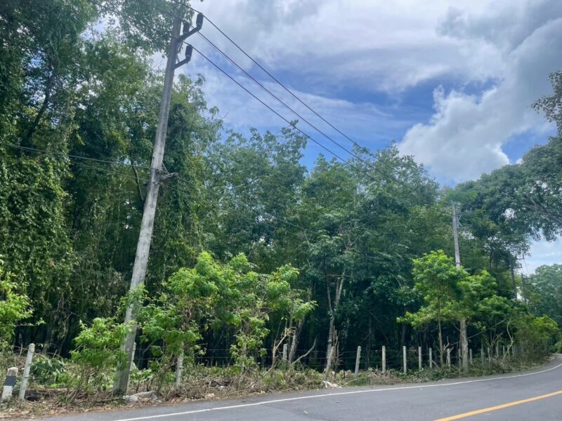 ขายที่ดิน เขาขาด จังหวัดภูเก็ต