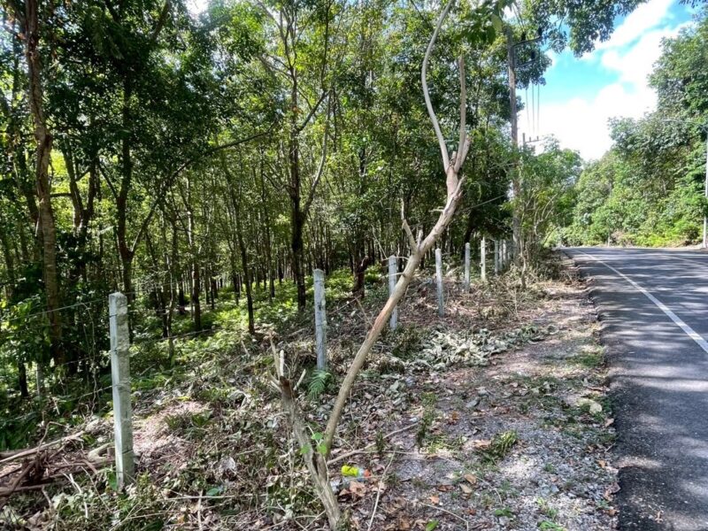 ขายที่ดิน เขาขาด จังหวัดภูเก็ต