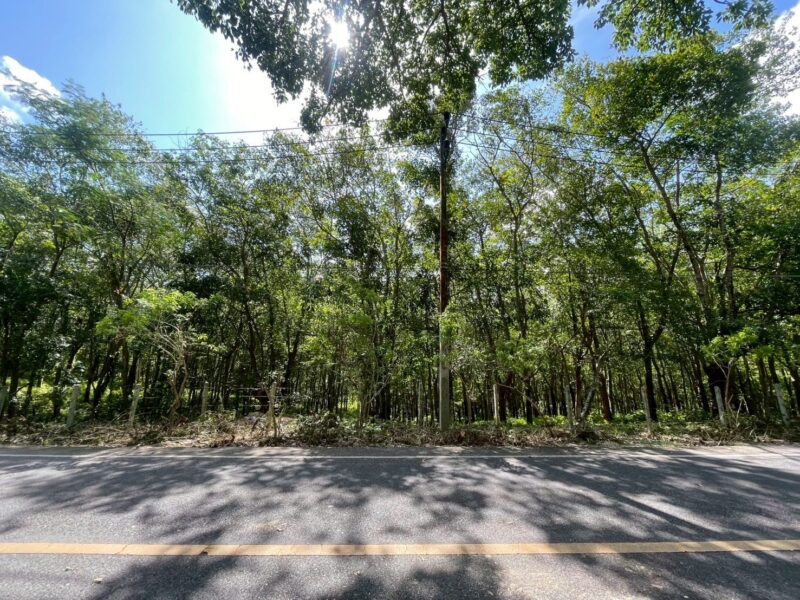 ขายที่ดิน เขาขาด จังหวัดภูเก็ต