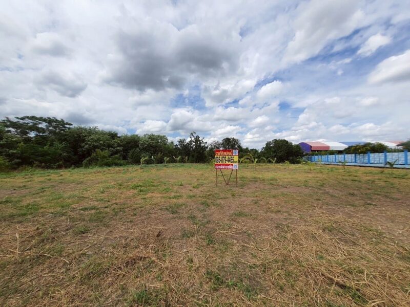 ขายที่ดินหลังโรบินสันราชพฤกษ์ 437 ตรว ติดถนนคอนกรีตสาธารณะ ถมแล้ว ซ.เกษตรพัฒนา 2 อ.ปากเกร็ด จ.นนทบุรี