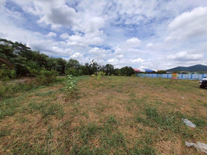 ขายที่ดินหลังโรบินสันราชพฤกษ์ 437 ตรว ติดถนนคอนกรีตสาธารณะ ถมแล้ว ซ.เกษตรพัฒนา 2 อ.ปากเกร็ด จ.นนทบุรี