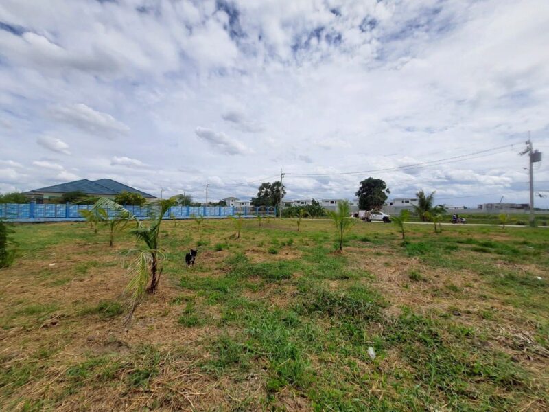 ขายที่ดินหลังโรบินสันราชพฤกษ์ 437 ตรว ติดถนนคอนกรีตสาธารณะ ถมแล้ว ซ.เกษตรพัฒนา 2 อ.ปากเกร็ด จ.นนทบุรี