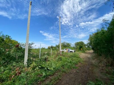 ขายถูกที่สุด ที่ดินสร้างบ้านสวน 1 ไร่ ติดถนนสาธารณะ ต.บางไทรป่า อ.บางเลน จ.นครปฐม