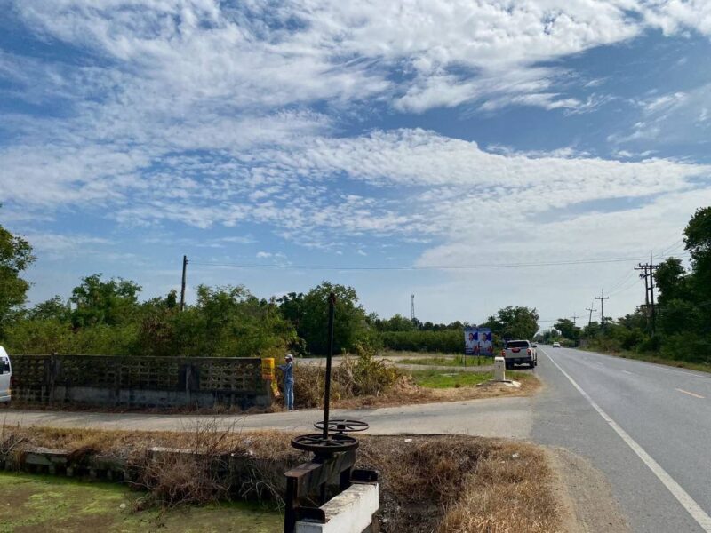 ขายถูกที่สุด ที่ดินสร้างบ้านสวน 1 ไร่ ติดถนนสาธารณะ ต.บางไทรป่า อ.บางเลน จ.นครปฐม