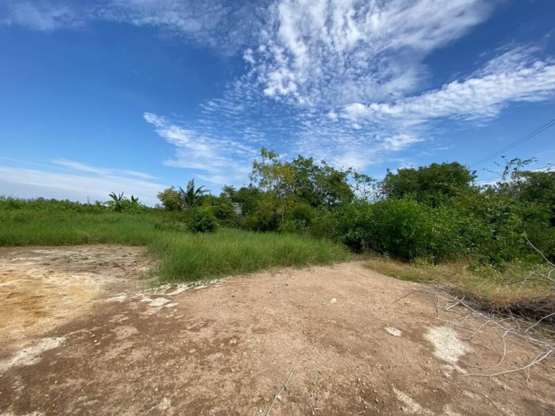 ขายถูกที่สุด ที่ดินสร้างบ้านสวน 1 ไร่ ติดถนนสาธารณะ ต.บางไทรป่า อ.บางเลน จ.นครปฐม