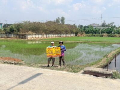 ขายด่วนที่ดิน 367 ตรว ติดถนนคอนกรีตสาธารณะ (แบ่งได้) ศาลายา อ.พุทธมณฑล จ.นครปฐม