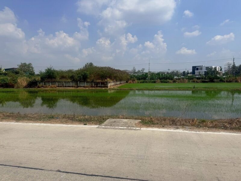 ขายด่วนที่ดิน 367 ตรว ติดถนนคอนกรีตสาธารณะ (แบ่งได้) ศาลายา อ.พุทธมณฑล จ.นครปฐม