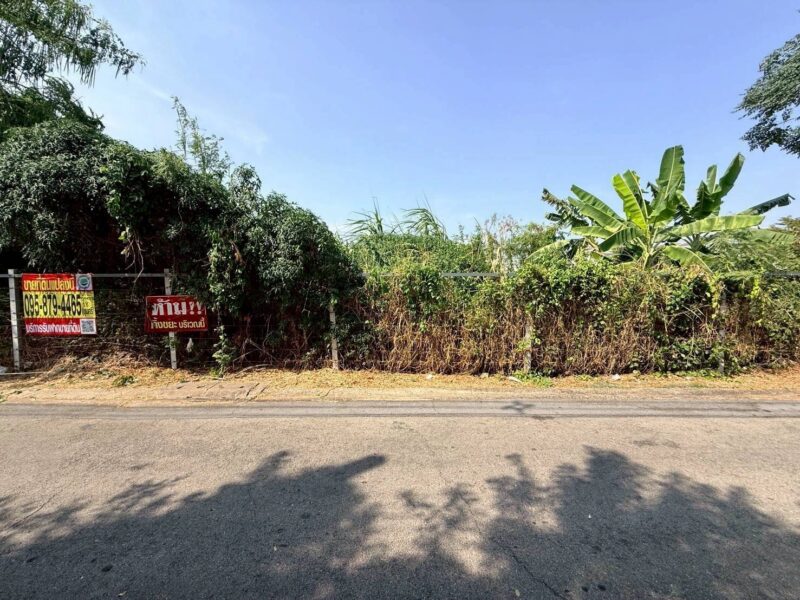 ขายที่ดินถนนทุ่งมังกร 90 ตรว ติดถนนคอนกรีต ซ.ทุ่งมังกร 18 เขตตลิ่งชัน กรุงเทพฯ